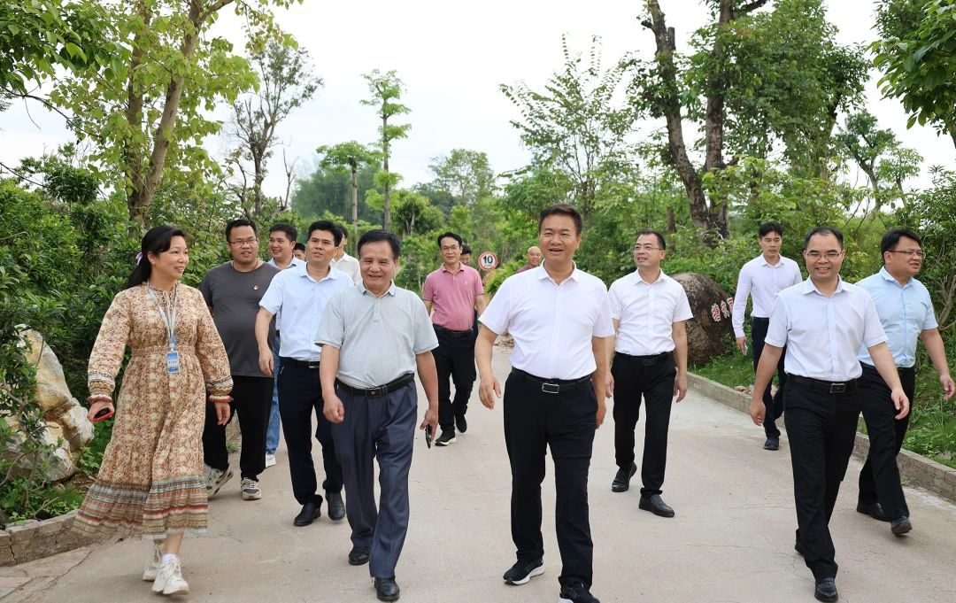 桂平市市长黄德佳等领导到我校指导工作 丨 LSTY.COM雷速体育(中国大陆)科技公司